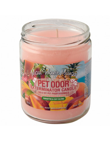 Smoke Odor Candle Maui Wowie Mango