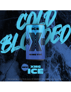 XMG ICE