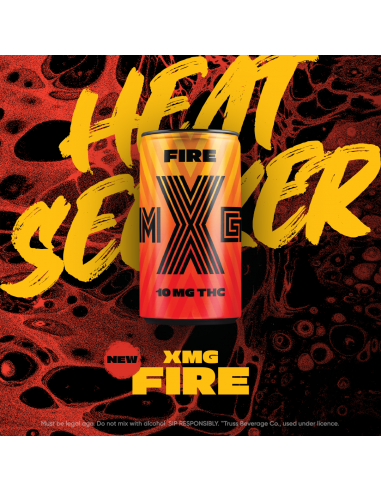 XMG FIRE
