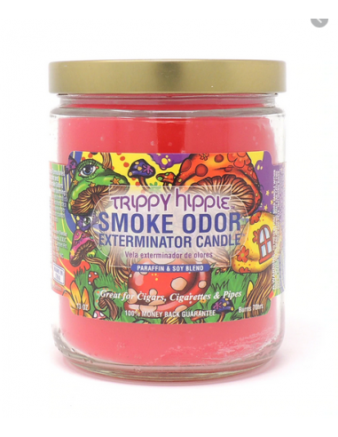 Smoke Odor Candle - Trippy Hippie